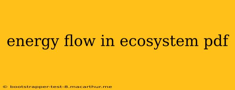 energy flow in ecosystem pdf