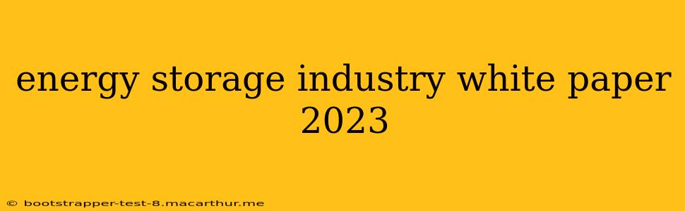 energy storage industry white paper 2023