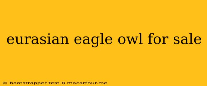 eurasian eagle owl for sale