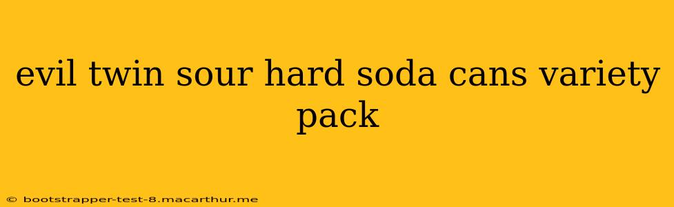 evil twin sour hard soda cans variety pack