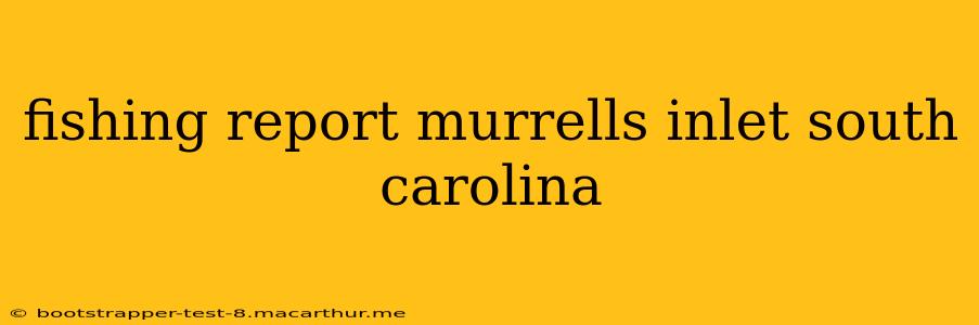 fishing report murrells inlet south carolina