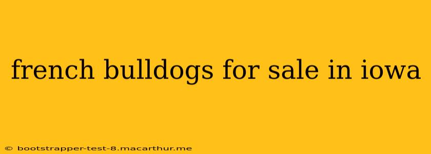 french bulldogs for sale in iowa