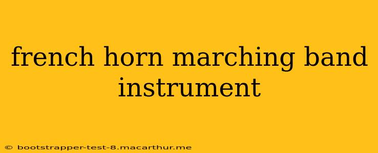 french horn marching band instrument