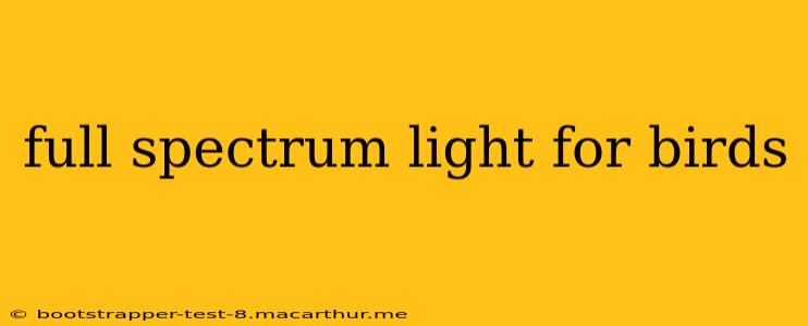 full spectrum light for birds