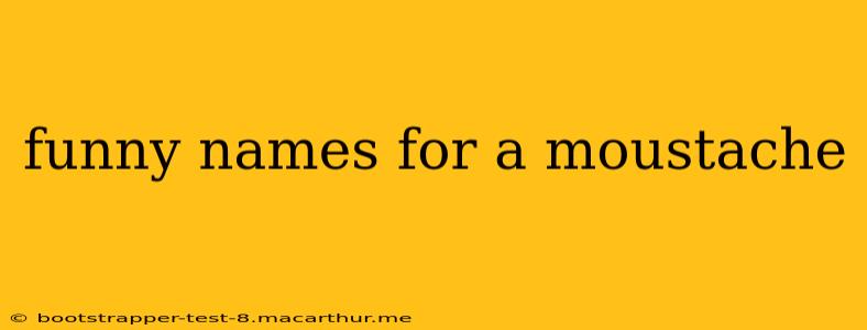 funny names for a moustache