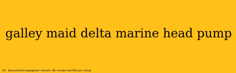galley maid delta marine head pump