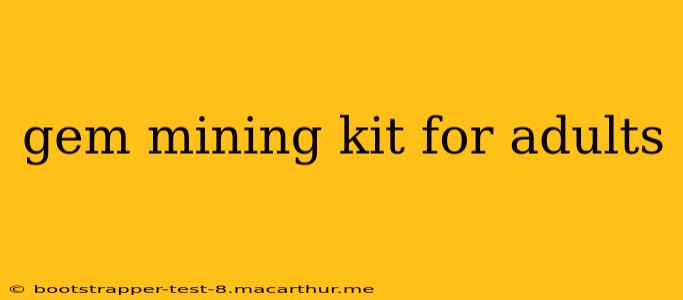 gem mining kit for adults