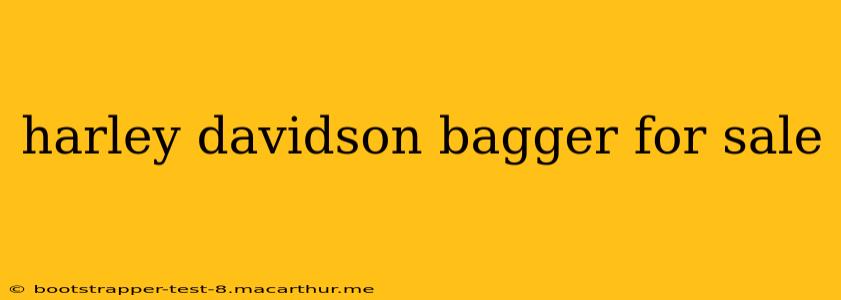 harley davidson bagger for sale