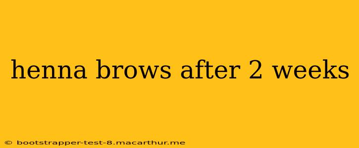 henna brows after 2 weeks