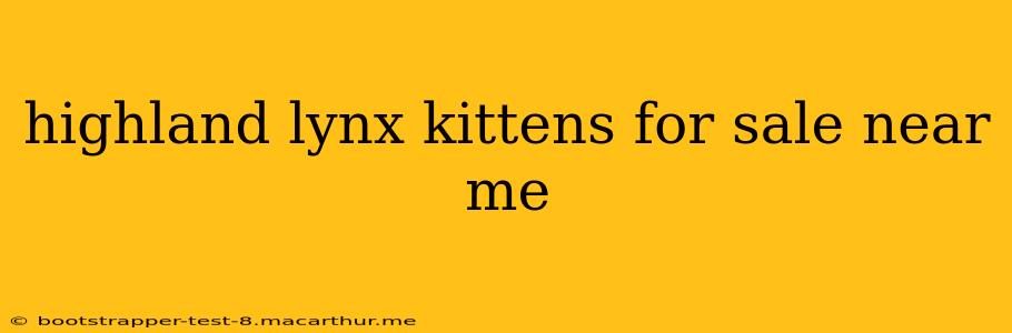 highland lynx kittens for sale near me