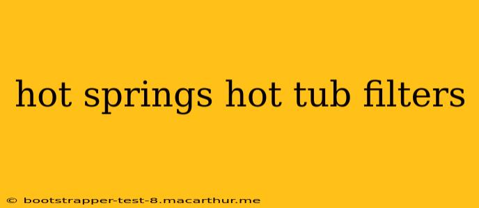 hot springs hot tub filters