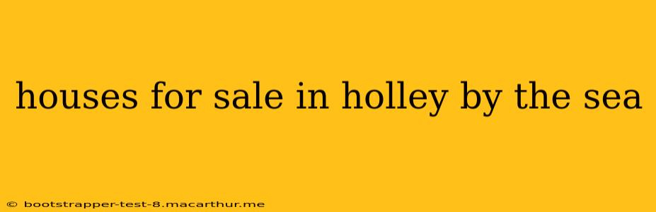 houses for sale in holley by the sea