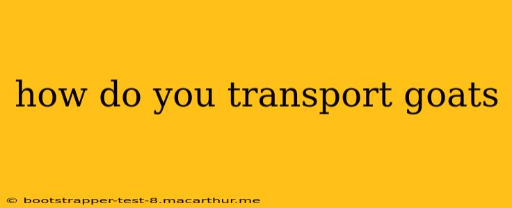 how do you transport goats
