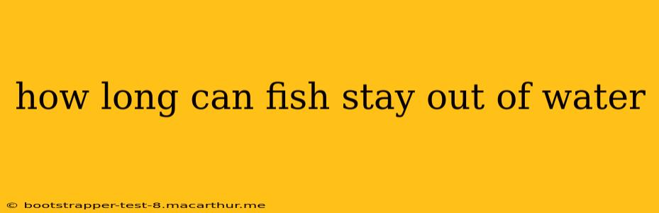 how long can fish stay out of water