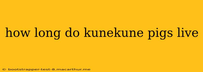 how long do kunekune pigs live