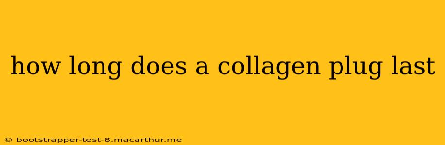 how long does a collagen plug last