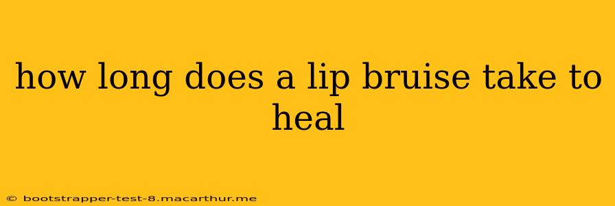 how long does a lip bruise take to heal