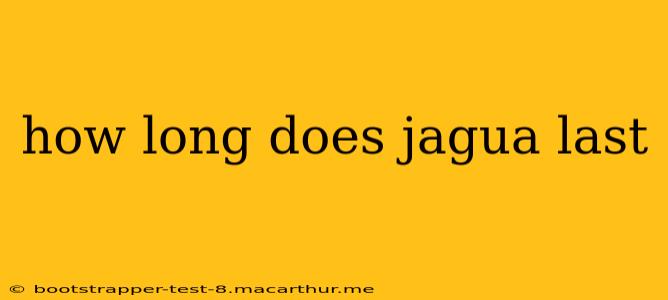 how long does jagua last