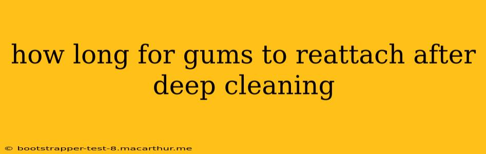how long for gums to reattach after deep cleaning