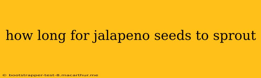 how long for jalapeno seeds to sprout