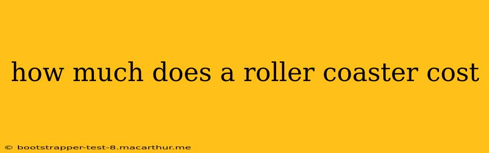how much does a roller coaster cost