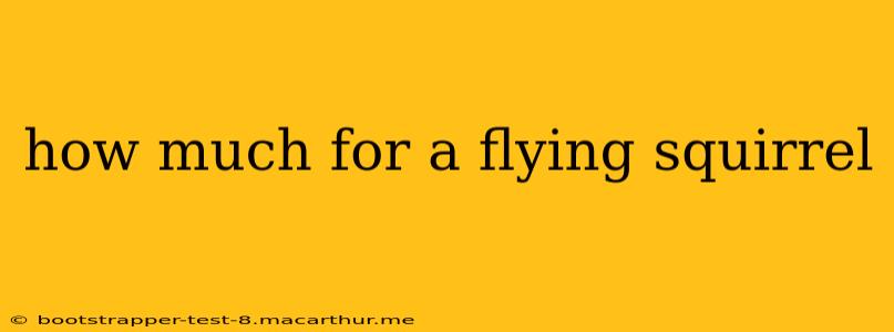 how much for a flying squirrel