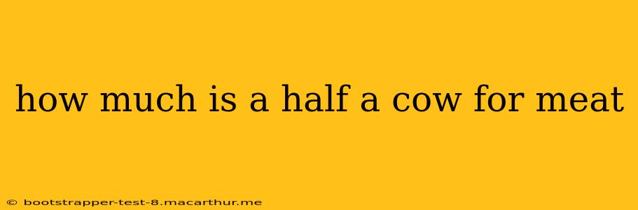 how much is a half a cow for meat