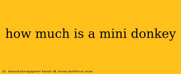 how much is a mini donkey