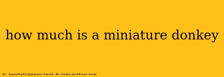 how much is a miniature donkey