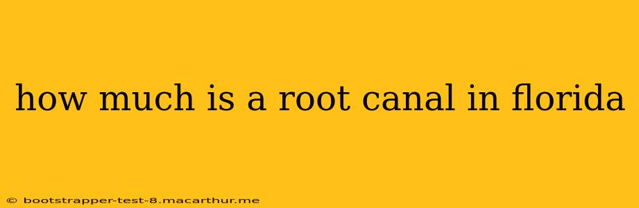 how much is a root canal in florida