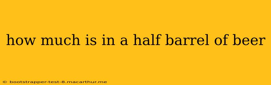 how much is in a half barrel of beer