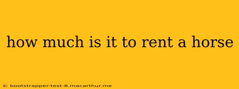 how much is it to rent a horse