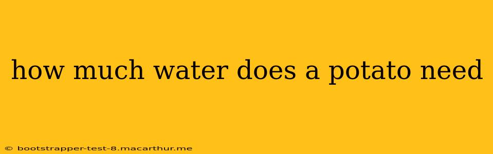 how much water does a potato need