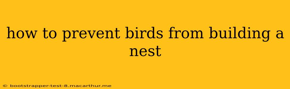 how to prevent birds from building a nest