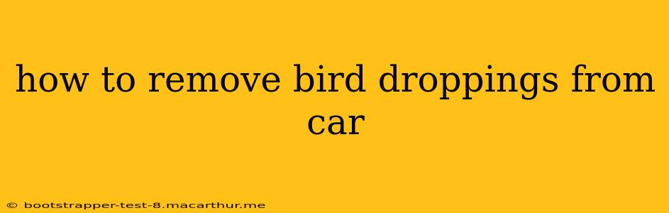 how to remove bird droppings from car