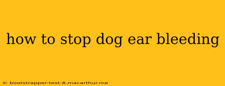 how to stop dog ear bleeding