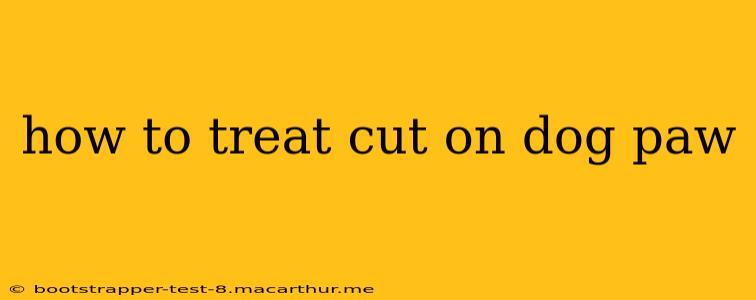 how to treat cut on dog paw