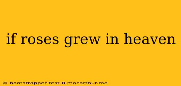 if roses grew in heaven