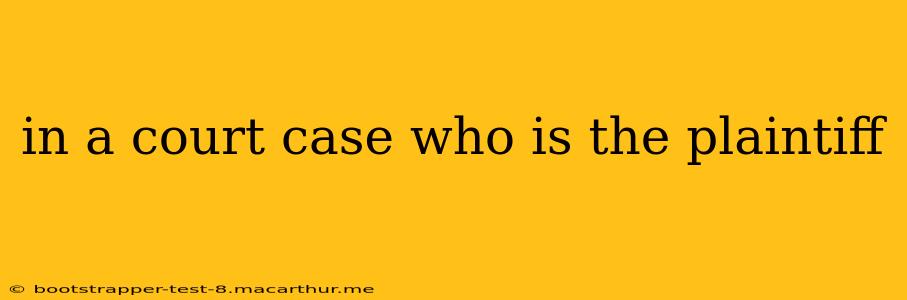 in a court case who is the plaintiff