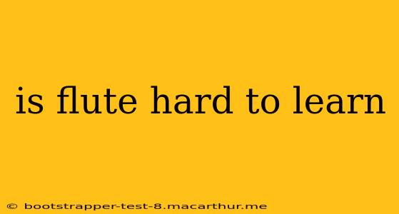 is flute hard to learn