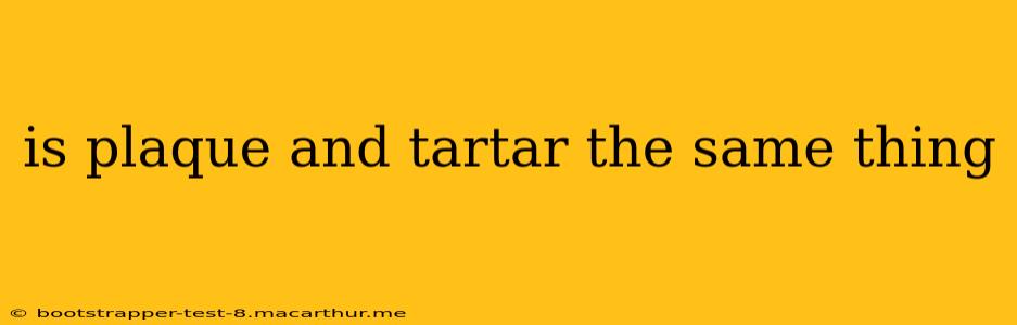 is plaque and tartar the same thing