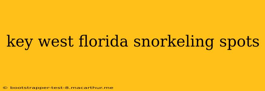 key west florida snorkeling spots