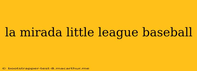la mirada little league baseball