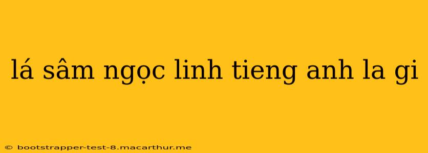 lá sâm ngọc linh tieng anh la gi