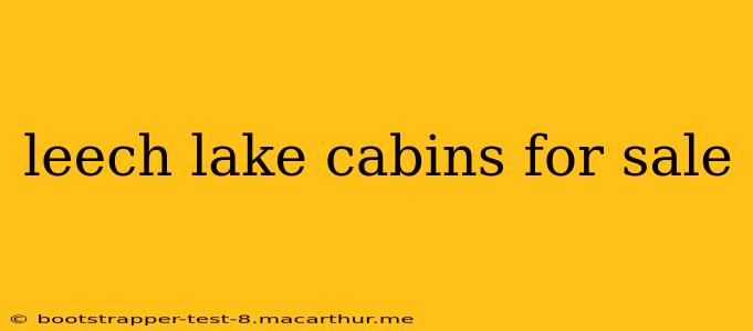 leech lake cabins for sale