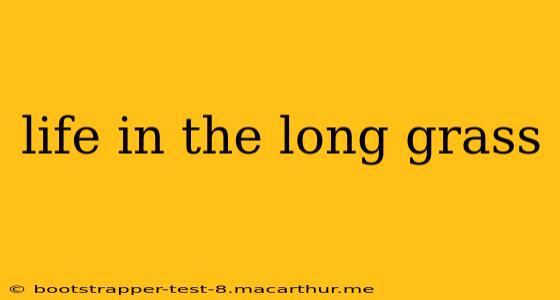 life in the long grass