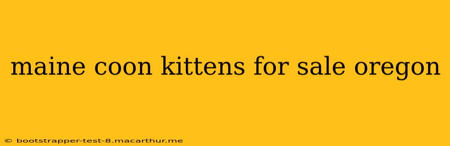 maine coon kittens for sale oregon