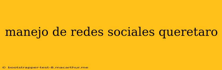 manejo de redes sociales queretaro