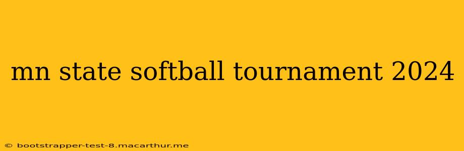 mn state softball tournament 2024