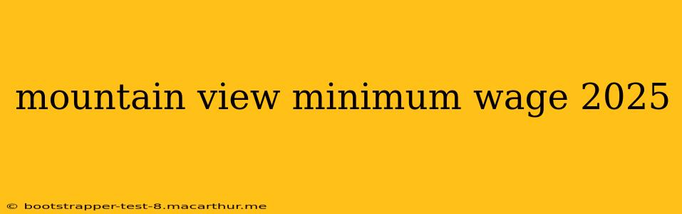 mountain view minimum wage 2025